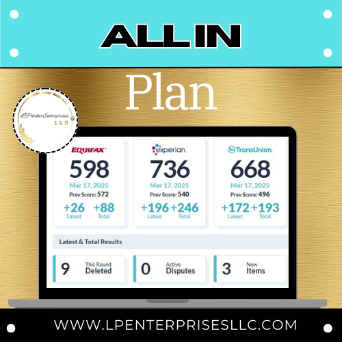 DFY All In Plan